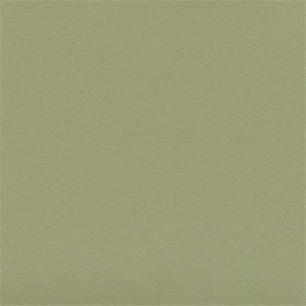 Cadet-Contemporary-3-Zest-Moss-204-Vinyl-Fabric